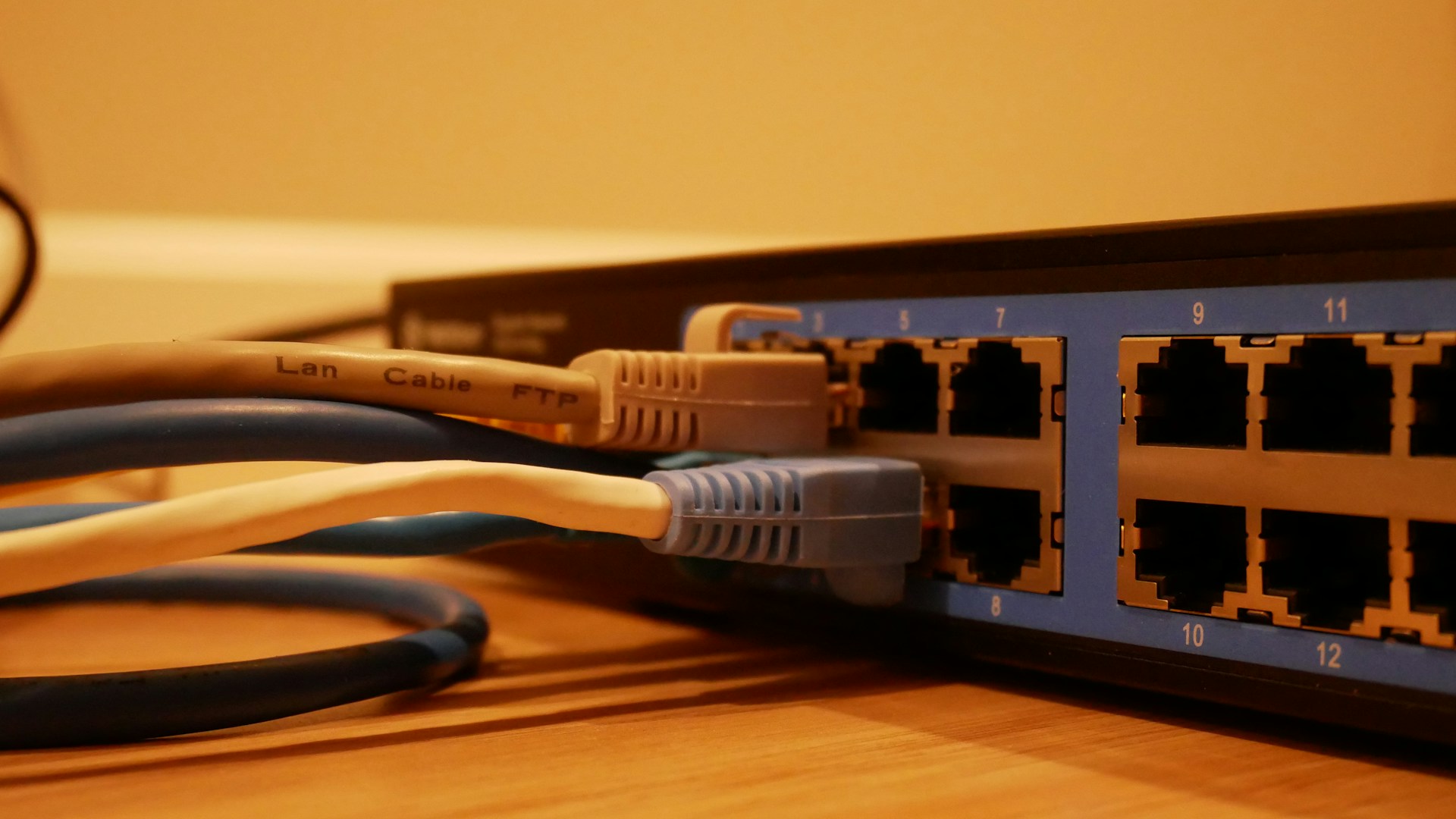 Network switch with connected cables, including gray, blue, and white Ethernet cables.